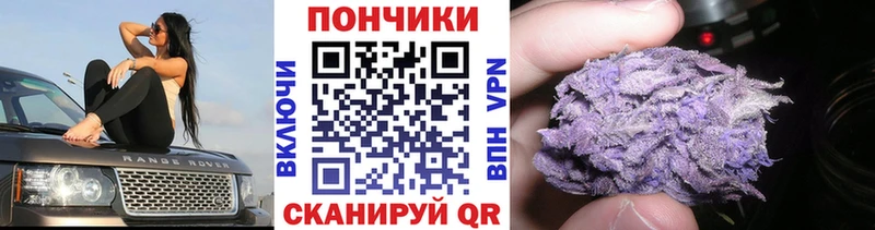 Купить закладки  Усолье-Сибирское  Конопля сатива 